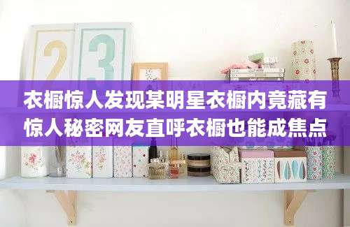 衣橱惊人发现某明星衣橱内竟藏有惊人秘密网友直呼衣橱也能成焦点