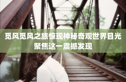 觅风觅风之旅惊现神秘奇观世界目光聚焦这一震撼发现