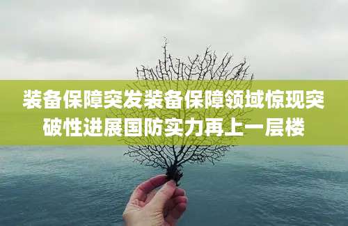装备保障突发装备保障领域惊现突破性进展国防实力再上一层楼