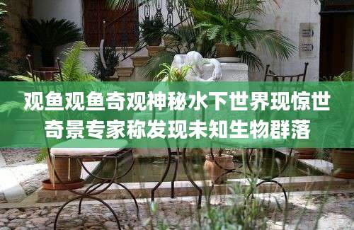 观鱼观鱼奇观神秘水下世界现惊世奇景专家称发现未知生物群落