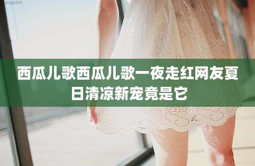 西瓜儿歌西瓜儿歌一夜走红网友夏日清凉新宠竟是它