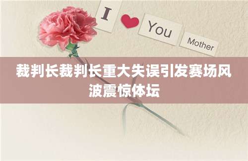 裁判长裁判长重大失误引发赛场风波震惊体坛