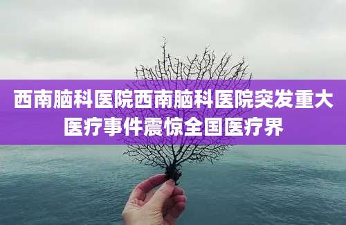 西南脑科医院西南脑科医院突发重大医疗事件震惊全国医疗界