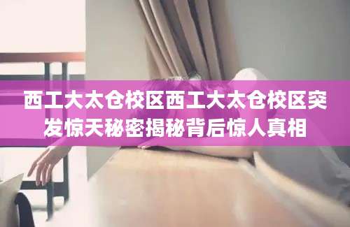西工大太仓校区西工大太仓校区突发惊天秘密揭秘背后惊人真相