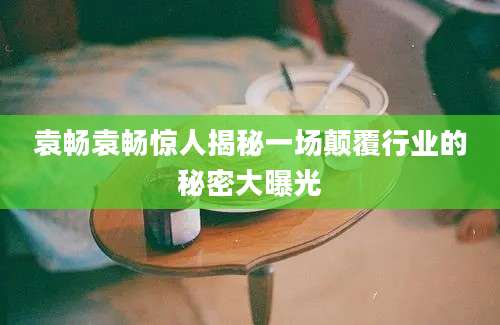袁畅袁畅惊人揭秘一场颠覆行业的秘密大曝光