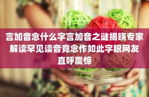 言加音念什么字言加音之谜揭晓专家解读罕见读音竟念作如此字眼网友直呼震惊