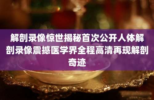 解剖录像惊世揭秘首次公开人体解剖录像震撼医学界全程高清再现解剖奇迹