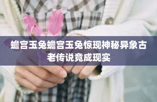 蟾宫玉兔蟾宫玉兔惊现神秘异象古老传说竟成现实