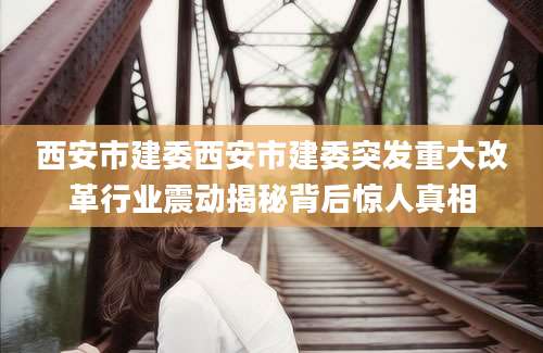 西安市建委西安市建委突发重大改革行业震动揭秘背后惊人真相