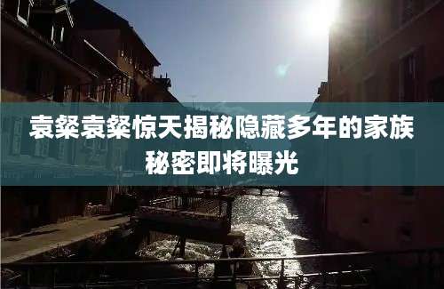 袁粲袁粲惊天揭秘隐藏多年的家族秘密即将曝光
