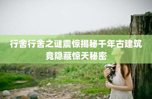 行舍行舍之谜震惊揭秘千年古建筑竟隐藏惊天秘密