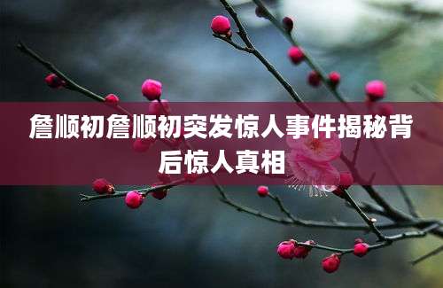 詹顺初詹顺初突发惊人事件揭秘背后惊人真相