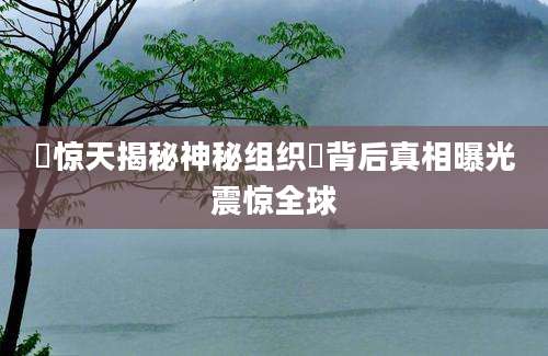 誾惊天揭秘神秘组织誾背后真相曝光震惊全球