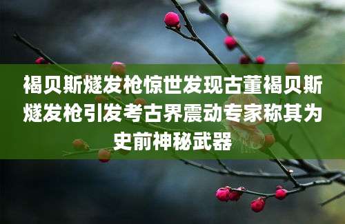 褐贝斯燧发枪惊世发现古董褐贝斯燧发枪引发考古界震动专家称其为史前神秘武器