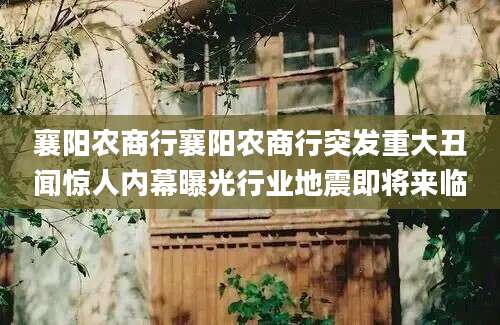 襄阳农商行襄阳农商行突发重大丑闻惊人内幕曝光行业地震即将来临