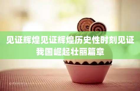 见证辉煌见证辉煌历史性时刻见证我国崛起壮丽篇章