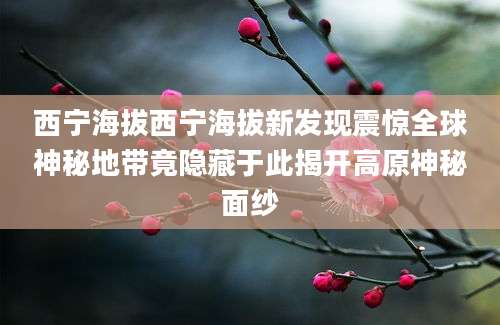 西宁海拔西宁海拔新发现震惊全球神秘地带竟隐藏于此揭开高原神秘面纱