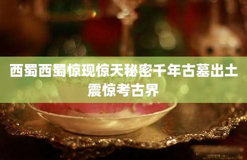 西蜀西蜀惊现惊天秘密千年古墓出土震惊考古界