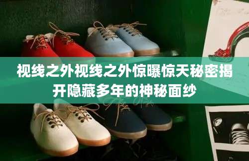 视线之外视线之外惊曝惊天秘密揭开隐藏多年的神秘面纱