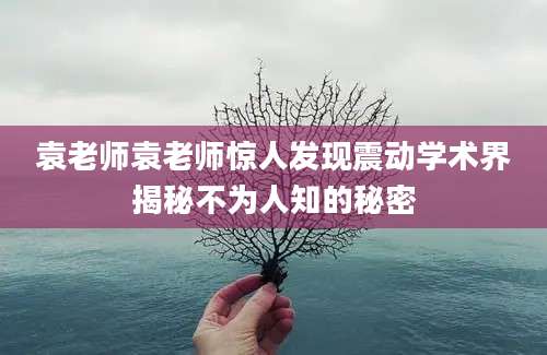 袁老师袁老师惊人发现震动学术界揭秘不为人知的秘密