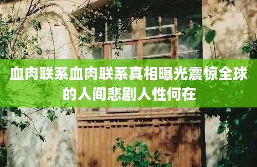血肉联系血肉联系真相曝光震惊全球的人间悲剧人性何在