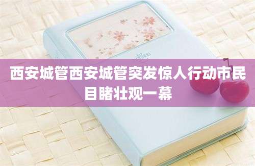 西安城管西安城管突发惊人行动市民目睹壮观一幕