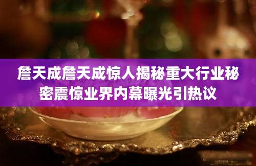 詹天成詹天成惊人揭秘重大行业秘密震惊业界内幕曝光引热议