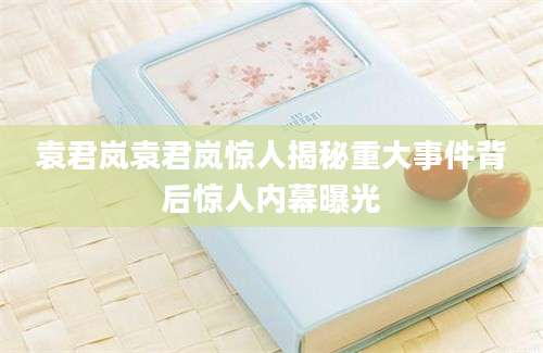 袁君岚袁君岚惊人揭秘重大事件背后惊人内幕曝光