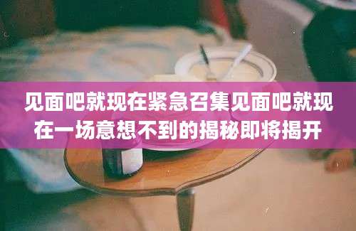 见面吧就现在紧急召集见面吧就现在一场意想不到的揭秘即将揭开