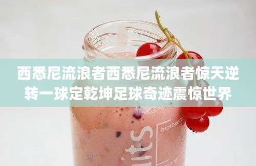 西悉尼流浪者西悉尼流浪者惊天逆转一球定乾坤足球奇迹震惊世界