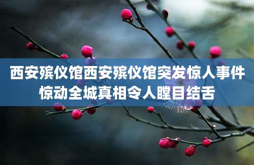 西安殡仪馆西安殡仪馆突发惊人事件惊动全城真相令人瞠目结舌