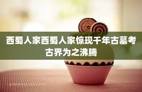 西蜀人家西蜀人家惊现千年古墓考古界为之沸腾