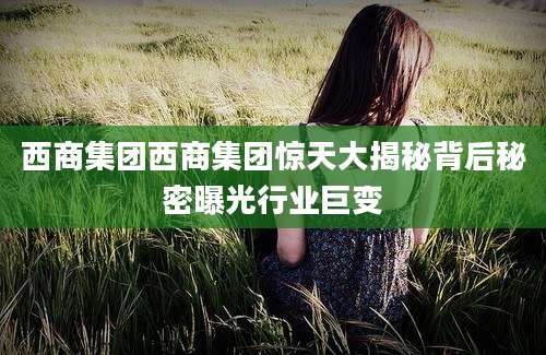 西商集团西商集团惊天大揭秘背后秘密曝光行业巨变