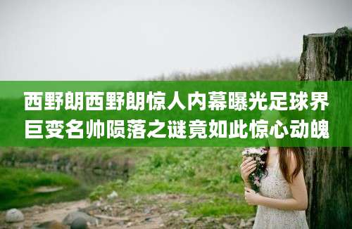 西野朗西野朗惊人内幕曝光足球界巨变名帅陨落之谜竟如此惊心动魄