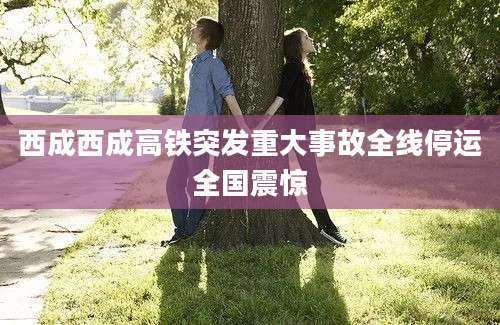 西成西成高铁突发重大事故全线停运全国震惊