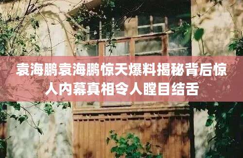 袁海鹏袁海鹏惊天爆料揭秘背后惊人内幕真相令人瞠目结舌