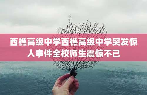 西樵高级中学西樵高级中学突发惊人事件全校师生震惊不已