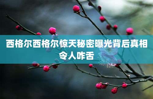 西格尔西格尔惊天秘密曝光背后真相令人咋舌