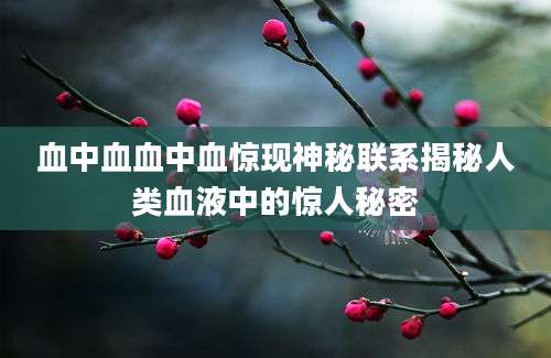 血中血血中血惊现神秘联系揭秘人类血液中的惊人秘密