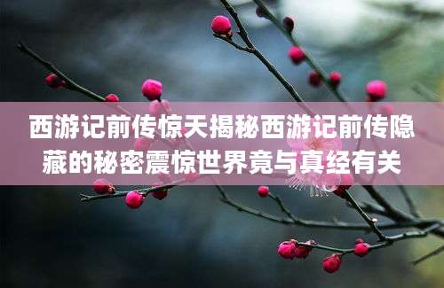 西游记前传惊天揭秘西游记前传隐藏的秘密震惊世界竟与真经有关