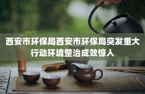 西安市环保局西安市环保局突发重大行动环境整治成效惊人