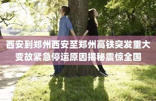 西安到郑州西安至郑州高铁突发重大变故紧急停运原因揭秘震惊全国