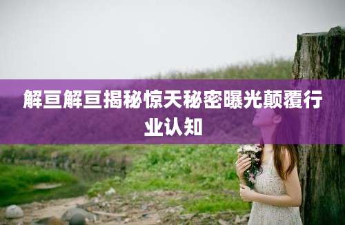 解亘解亘揭秘惊天秘密曝光颠覆行业认知