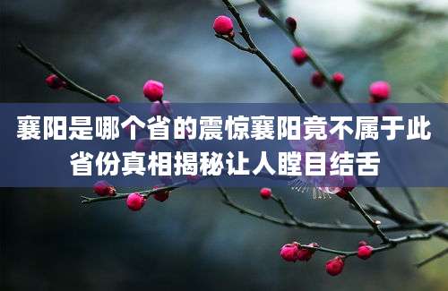 襄阳是哪个省的震惊襄阳竟不属于此省份真相揭秘让人瞠目结舌