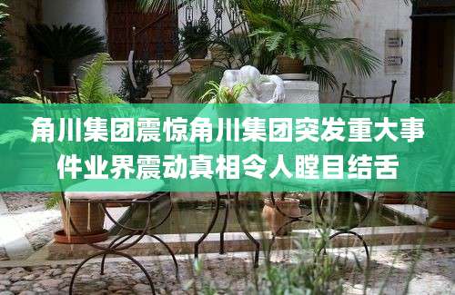 角川集团震惊角川集团突发重大事件业界震动真相令人瞠目结舌