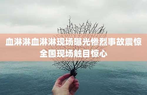血淋淋血淋淋现场曝光惨烈事故震惊全国现场触目惊心