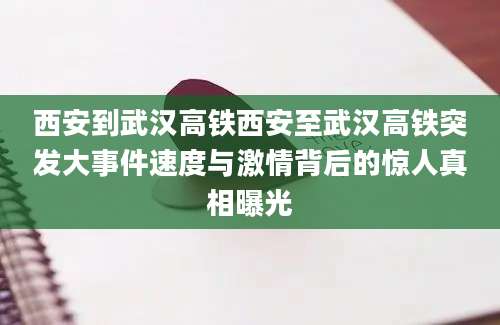 西安到武汉高铁西安至武汉高铁突发大事件速度与激情背后的惊人真相曝光