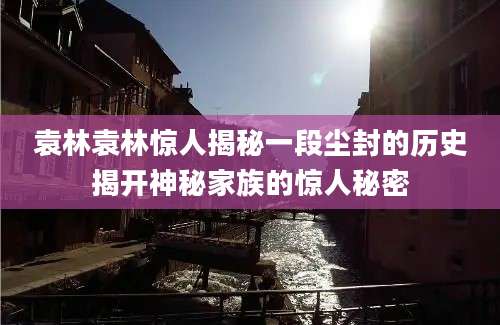 袁林袁林惊人揭秘一段尘封的历史揭开神秘家族的惊人秘密