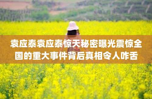 袁应泰袁应泰惊天秘密曝光震惊全国的重大事件背后真相令人咋舌
