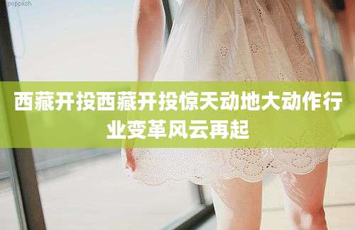 西藏开投西藏开投惊天动地大动作行业变革风云再起